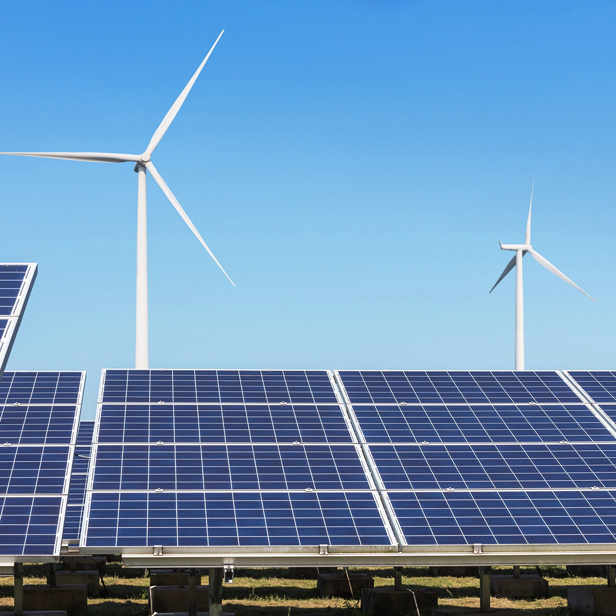 Developments in renewables_Thumbnail_Image