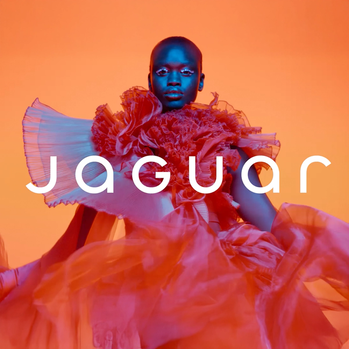 CB Insight Rebrand – Thumbnail_Image_Jaguar