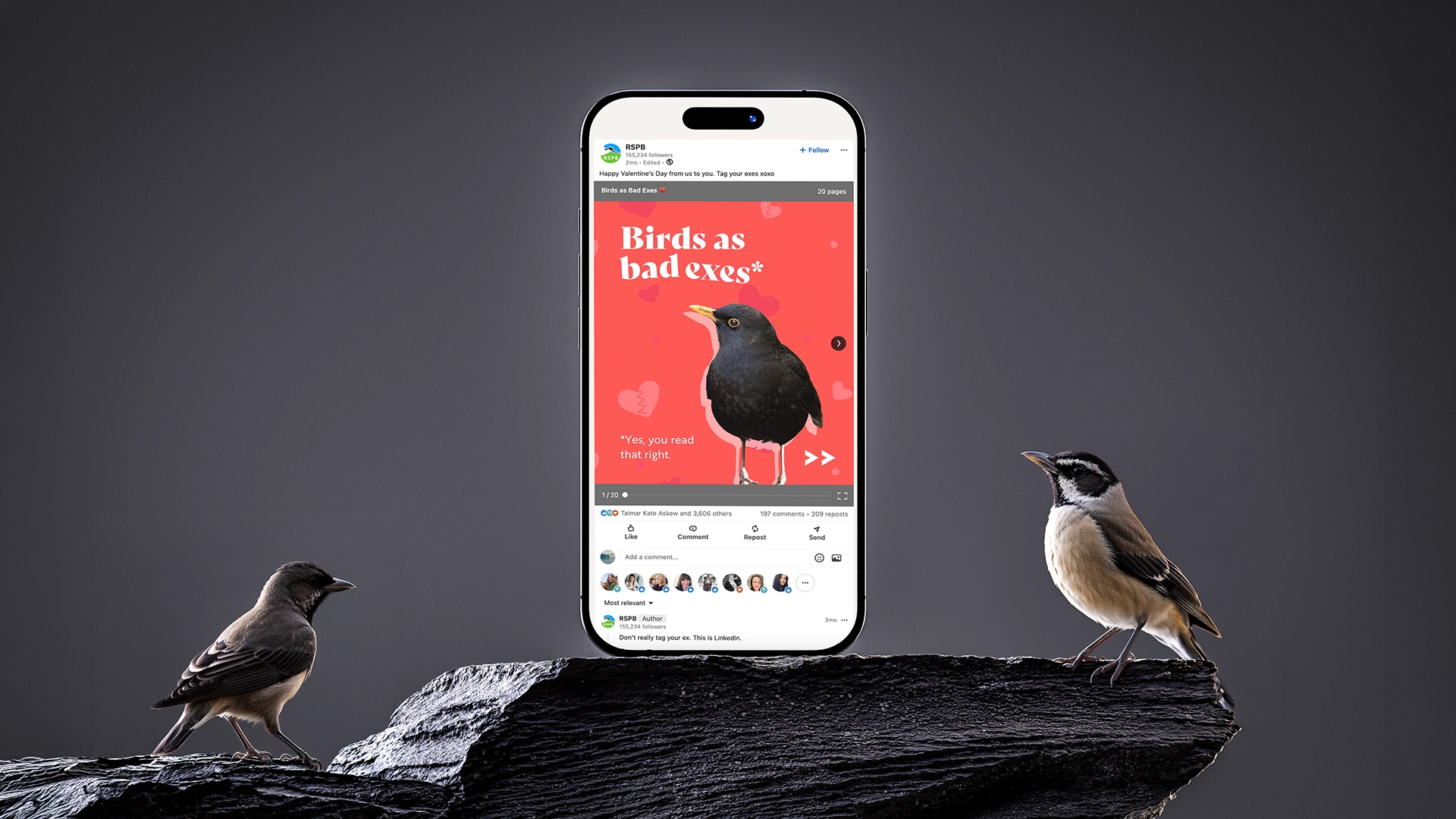 CB Insight – Brand Standout_Image_RSPB